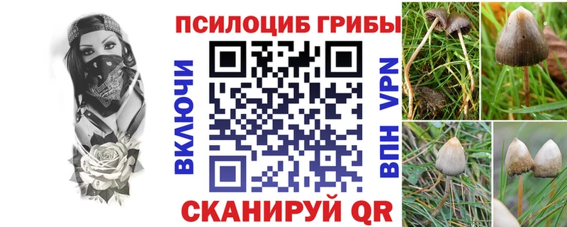 Псилоцибиновые грибы прущие грибы дарк нет клад Батайск OMG зеркало